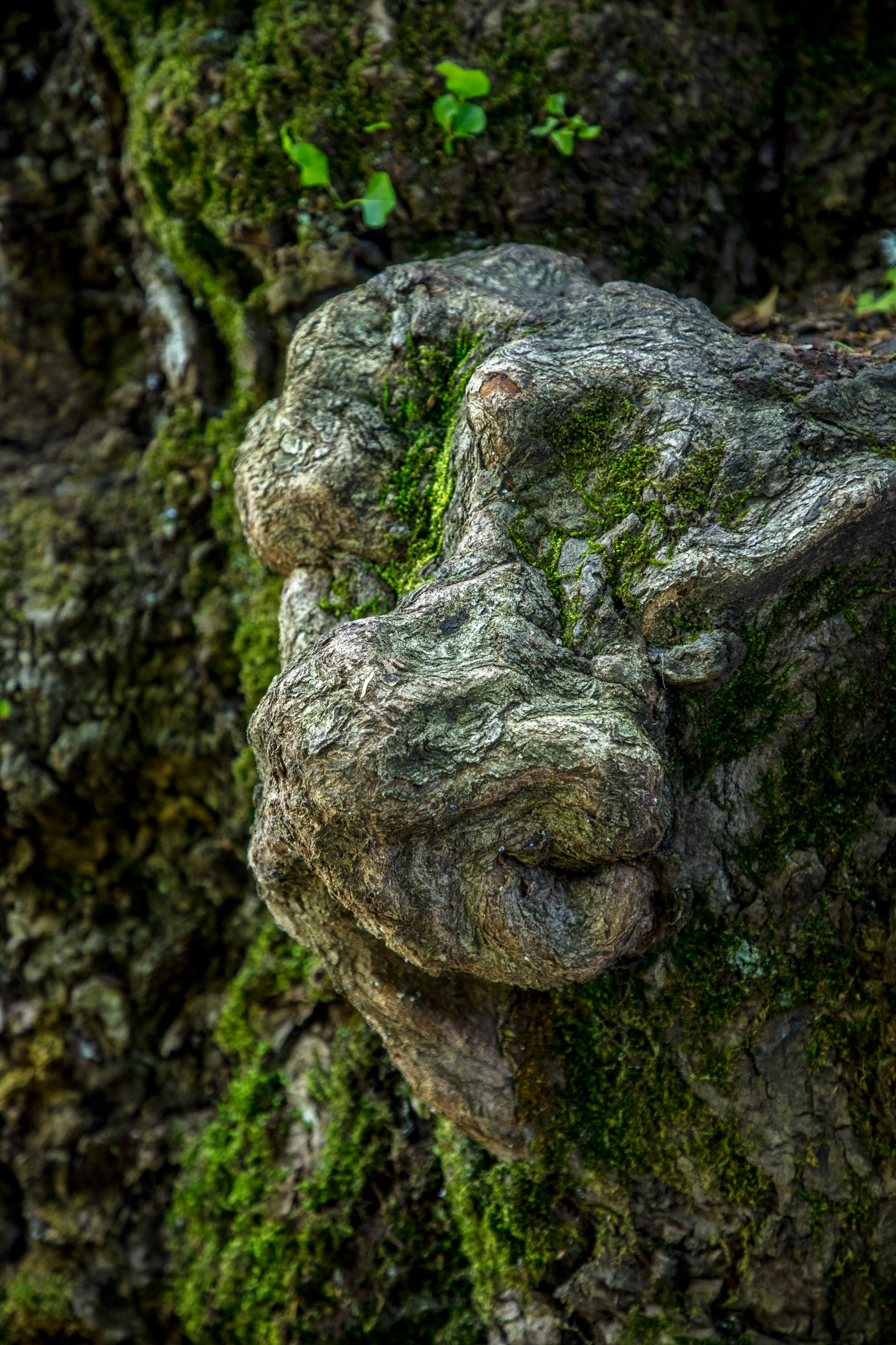 20220508125015 DP017551